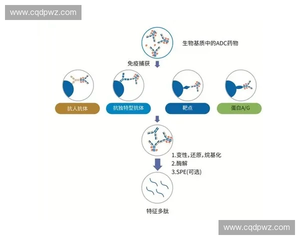 基于比赛控制策略的优化研究与应用分析
